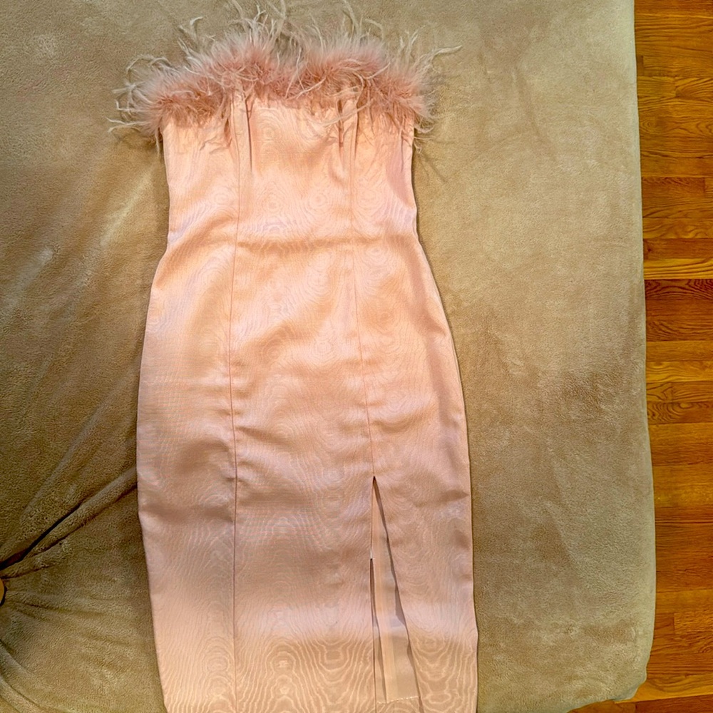 Ostrich Feather dress